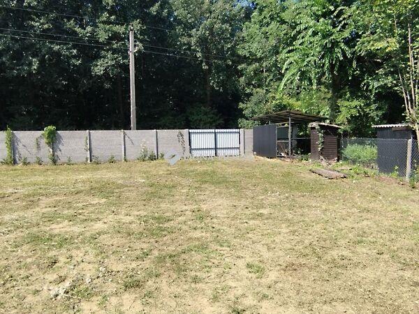 Keszeg, Tatabánya képe