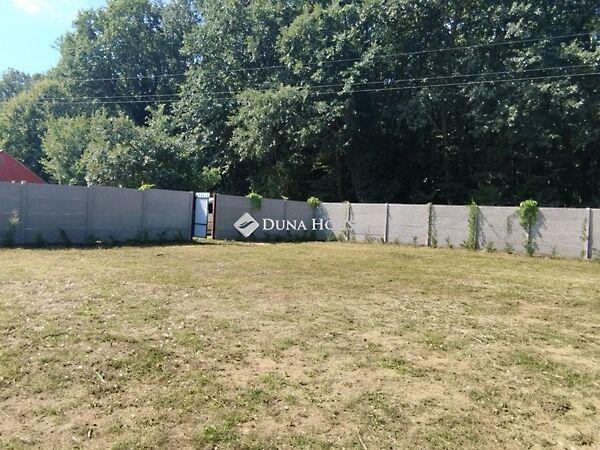 Keszeg, Tatabánya képe