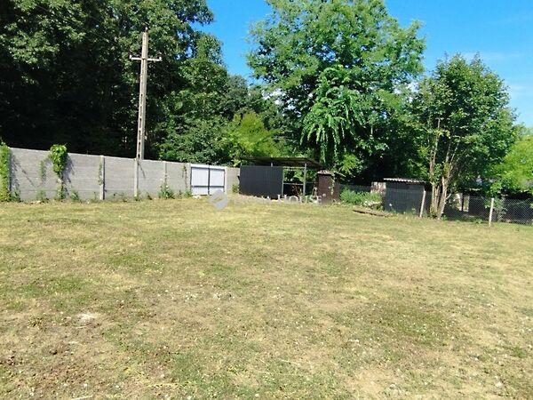 Keszeg, Tatabánya képe