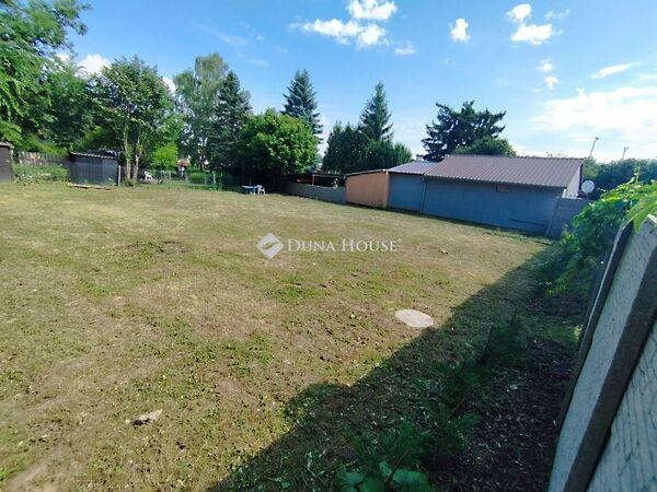 Keszeg, Tatabánya képe