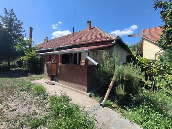 Nád, Kiskunhalas képe