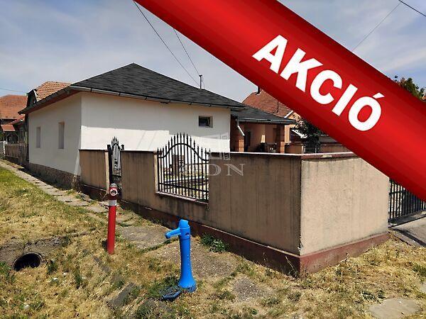 Szabadság, Polgár képe