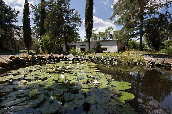 Badacsonytomaj képe