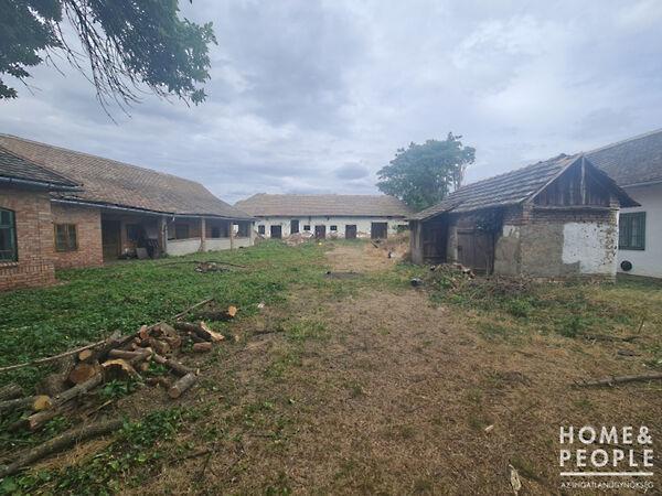 Hódmezővásárhely képe