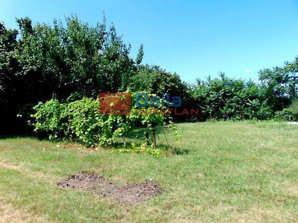 Szabadság, Tordas képe