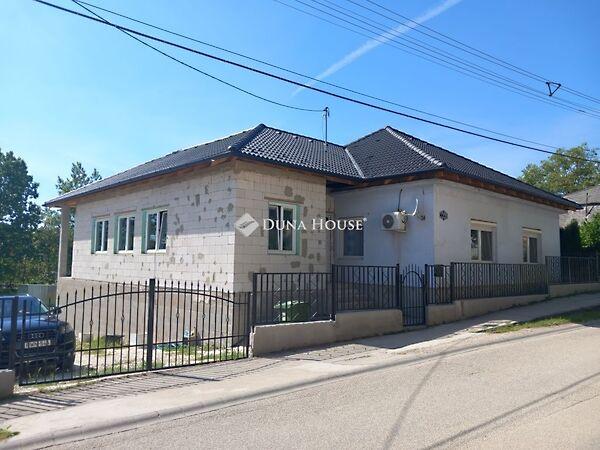 Petőfi Sándor, Mány képe