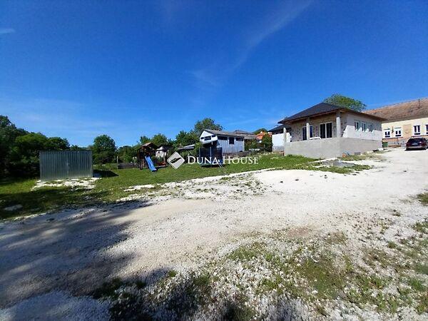 Petőfi Sándor, Mány képe