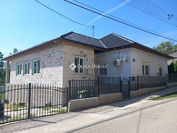 Petőfi Sándor, Mány képe