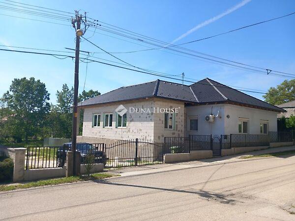 Petőfi Sándor, Mány képe