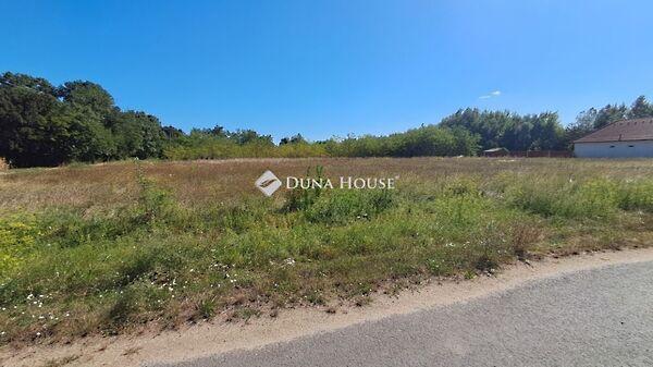 Kossuth Lajos, Mesterháza képe