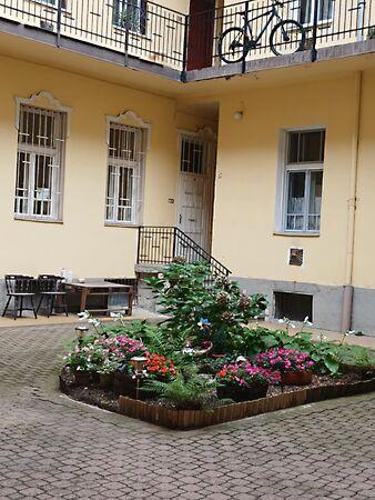 Kazinczy, Miskolc képe