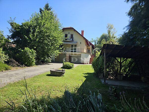 Fő, Dunaharaszti képe