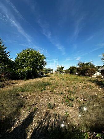 Liszt Ferenc, Ercsi képe