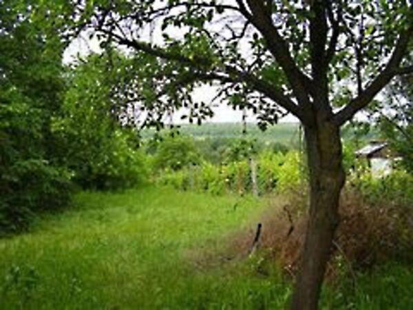 Orbánhegyi, Martonvásár képe