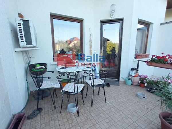 Hollandia, Kistarcsa képe