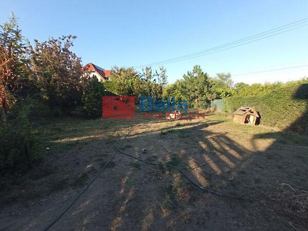 Hollandia, Kistarcsa képe