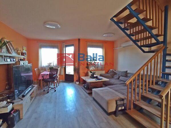 Hollandia, Kistarcsa képe