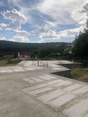 Pálosvörösmart képe