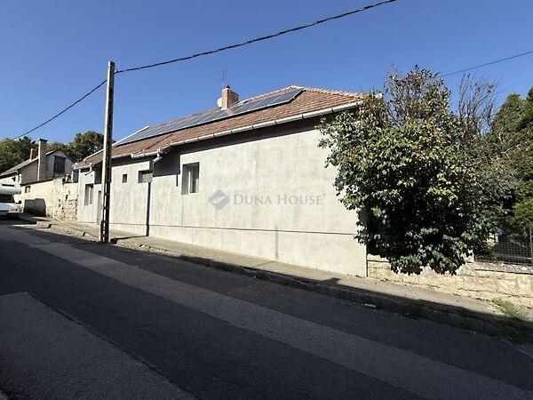 Ady Endre, Sóskút képe