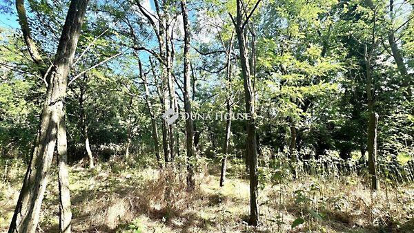 Vásárosmiske képe