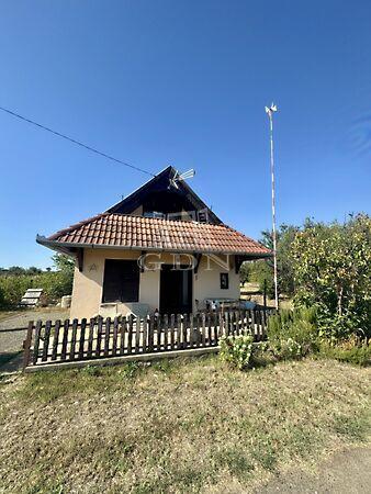 Szőlőhegy, Mohács képe