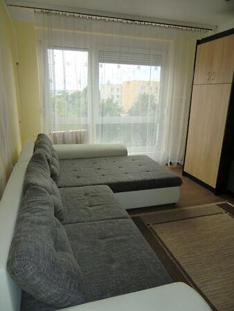 Búzavirág, Kaposvár képe