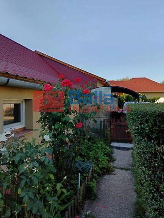 Elek, Debrecen képe