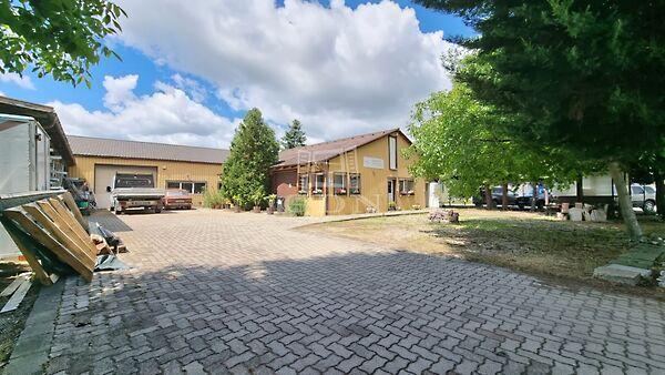 Virág, Székesfehérvár képe