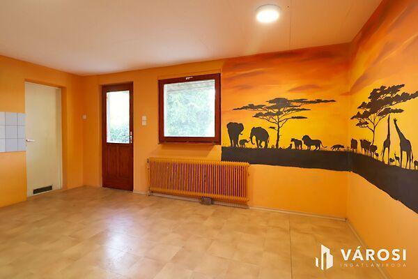 Szeged, Szeged képe