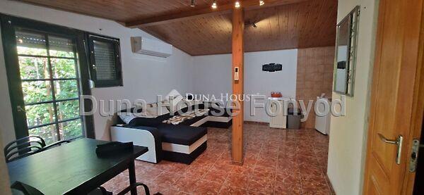 Tulipán, Buzsák képe