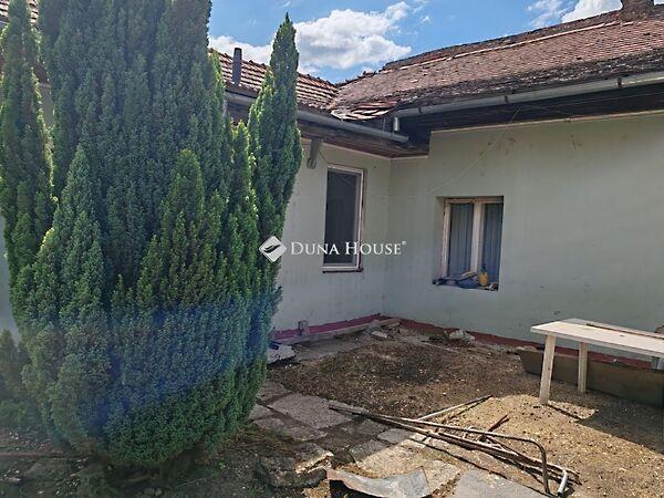 Kossuth Lajos, Pomáz képe