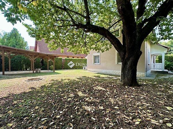 József Attila, Kozármisleny képe