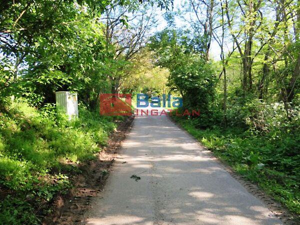 Badacsonytomaj képe