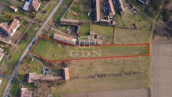 Kossuth, Patak képe