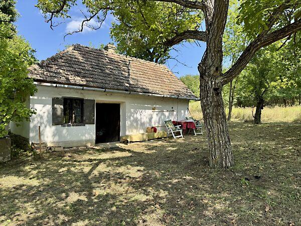 Zalaszentgrót képe