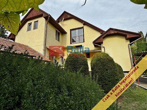 Nyugati, Hévíz képe