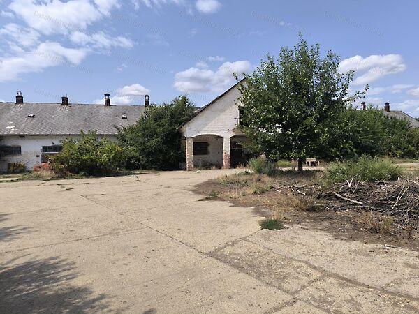 Rákóczifalva képe