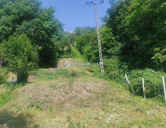 Tulipánkert, Eger képe