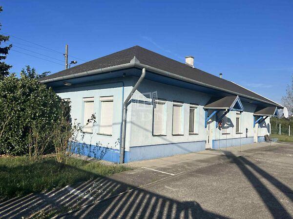 Delelő, Hatvan képe