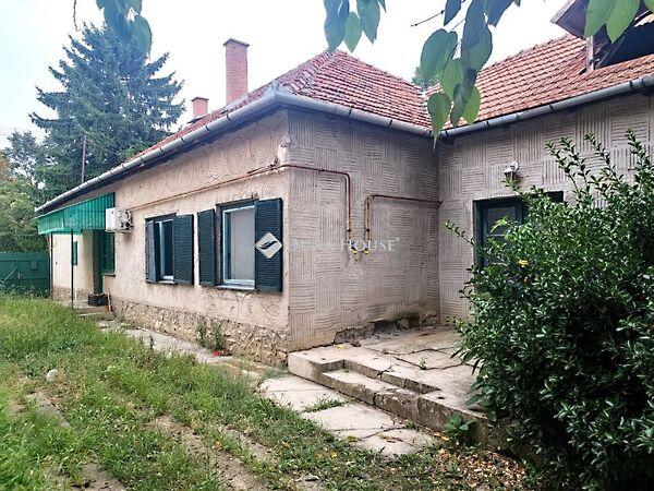 Árpád, Mezőkovácsháza képe