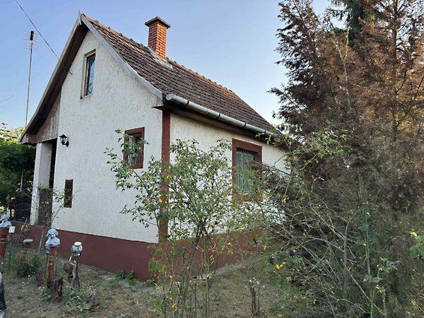 Tag, Hajdúbagos képe