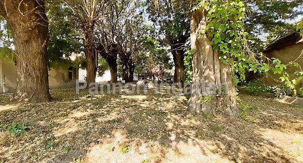 Kossuth, Hajmáskér képe