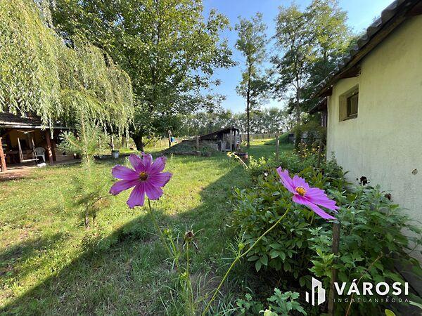 Debrecen, Debrecen képe