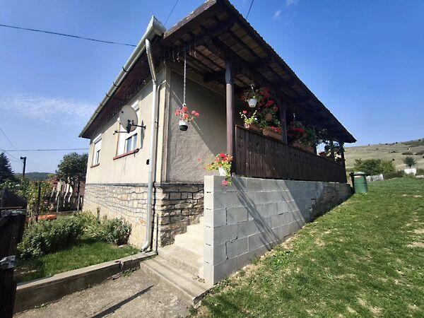 Szabadság, Szin képe