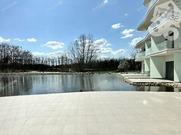 Aranykor, Ballószög képe