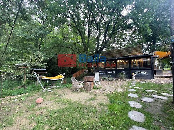 Ölyv, Verőce képe