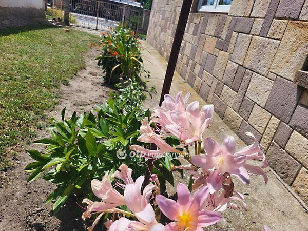 Pusztamonostor képe