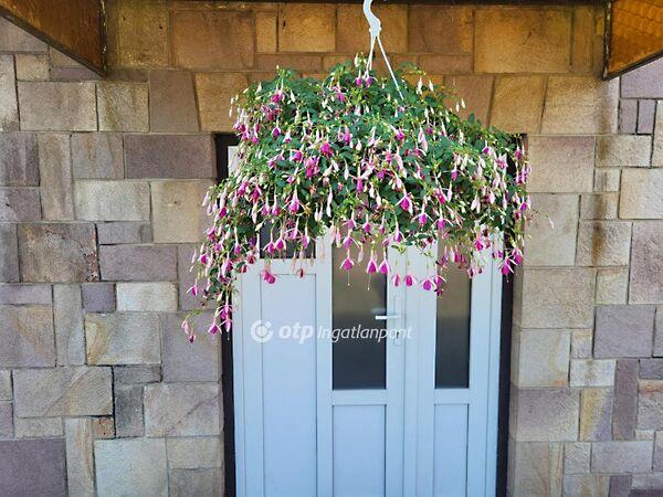 Pusztamonostor képe