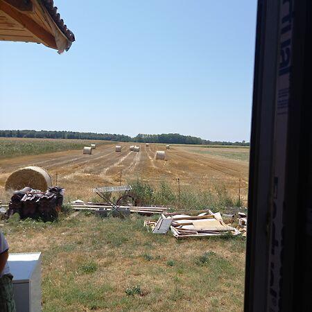 Törökbálint képe