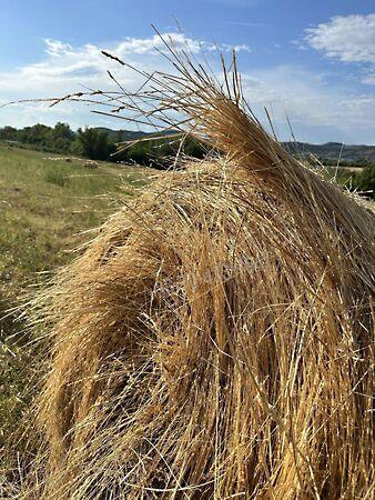 Törökbálint képe